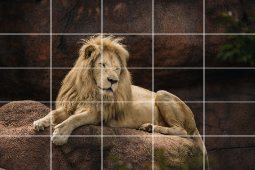 Add grid to image example showing grid overlay on photo